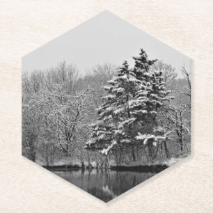 Winter Wonderland Paper Coaster