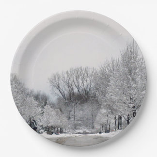 WINTER WONDERLAND PAPER PLATE