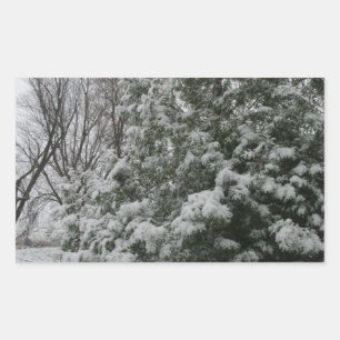 Winter Wonderland Pine Tree with Snow Fall Rectangular Sticker