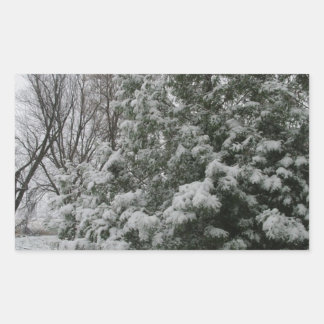 Winter Wonderland Pine Tree with Snow Fall Rectangular Sticker