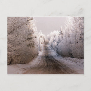 Winter Wonderland - Postcard