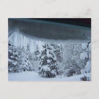 Winter Wonderland Postcard
