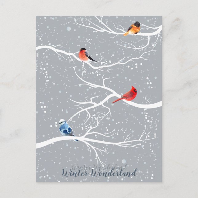 Winter Wonderland Postcard (Front)