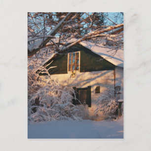 Winter Wonderland Postcard