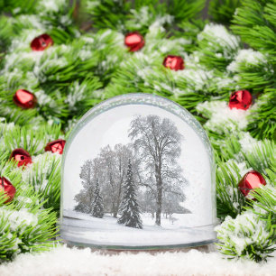 Winter Wonderland Snow Globe Snow Forest Snowglobe
