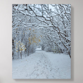 Winter Wonderland Snow Park Blank Card Acrylic Photo Tile