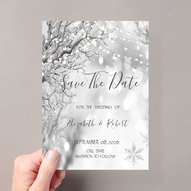 Winter Wonderland, Snowflakes Save The Date Acrylic Invitations (Insitu (Handheld))