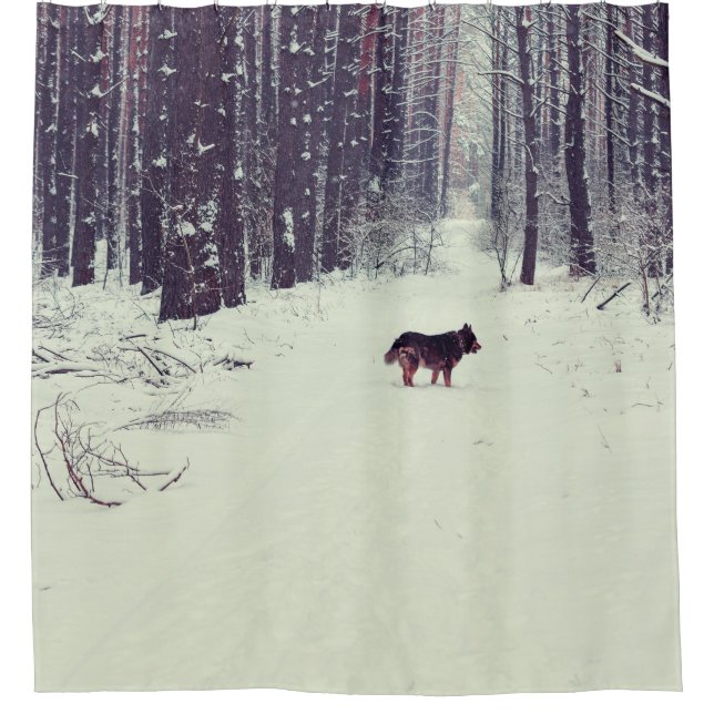 Winter Wonderland: Snowy Pine Forest Shower Curtain (Front)