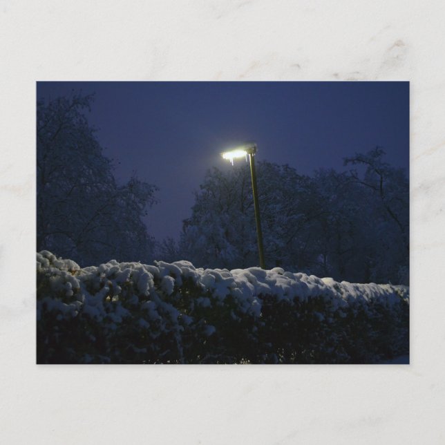 Winter wonderland street   postcard (Front)