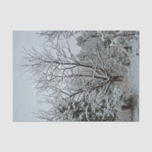 Winter Wonderland Tissue Paper