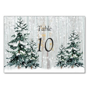 Winter Wonderland Wedding Stars Pine Trees  Table  Number