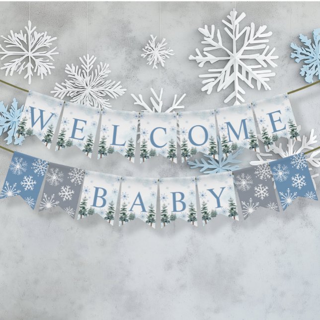 Winter Wonderland Welcome Baby Bunting (Creator Uploaded)