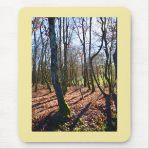 Winter woodland in France Mouse Pad