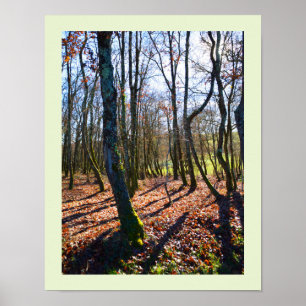 Winter woodland in France Poster