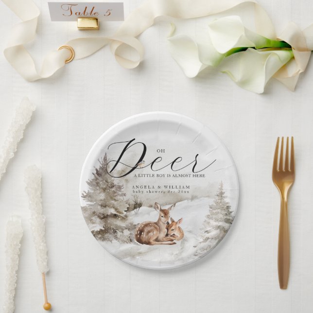 Winter Woodland Oh Deer Theme Baby Boy Shower Paper Plate (Wedding)
