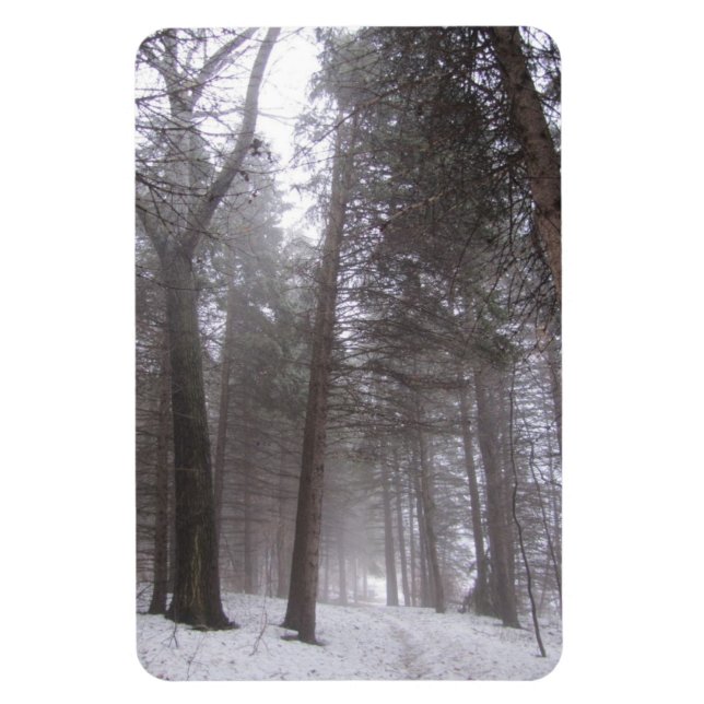 Winter woodland path magnet (Vertical)