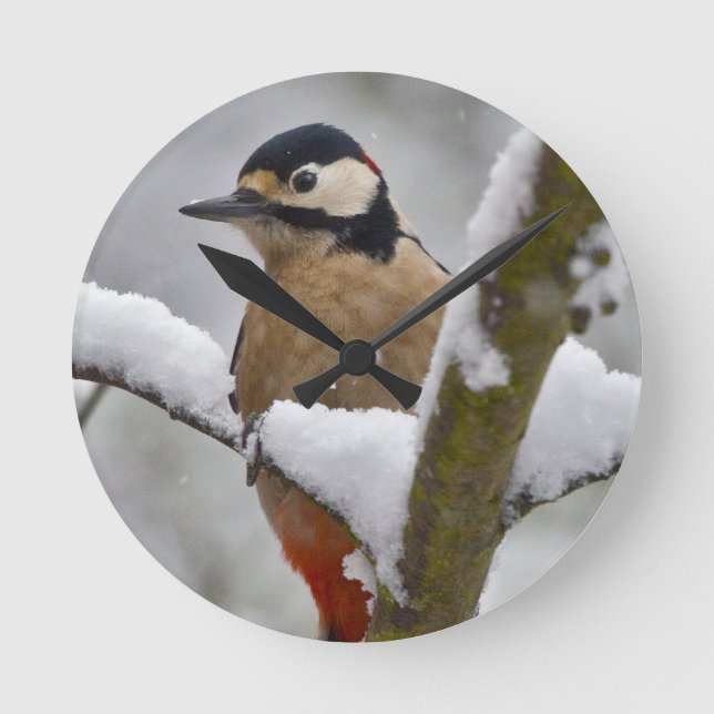 Winter Woodpecker Clock (Front)