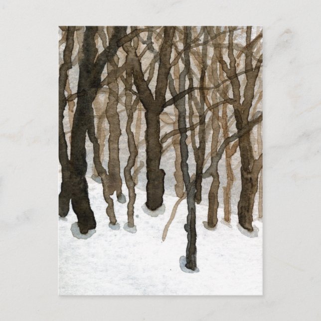 "Winter Woods" Country Roads Postcard (Front)