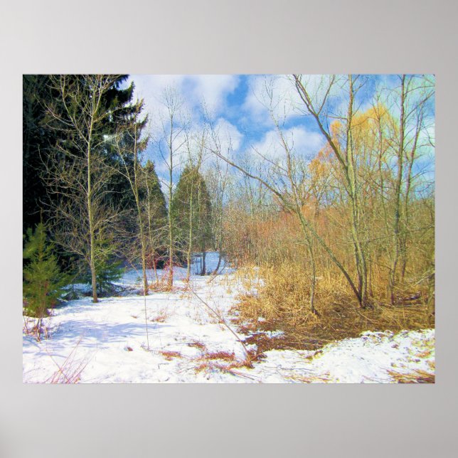 Winter woods poster (Front)