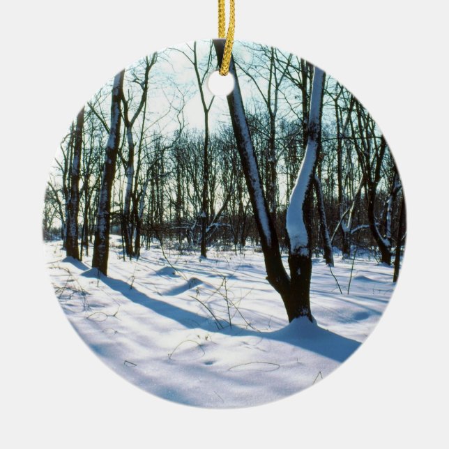 Winter Woods Round Ornament (Front)