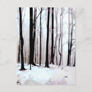 Winter woods scene postcard
