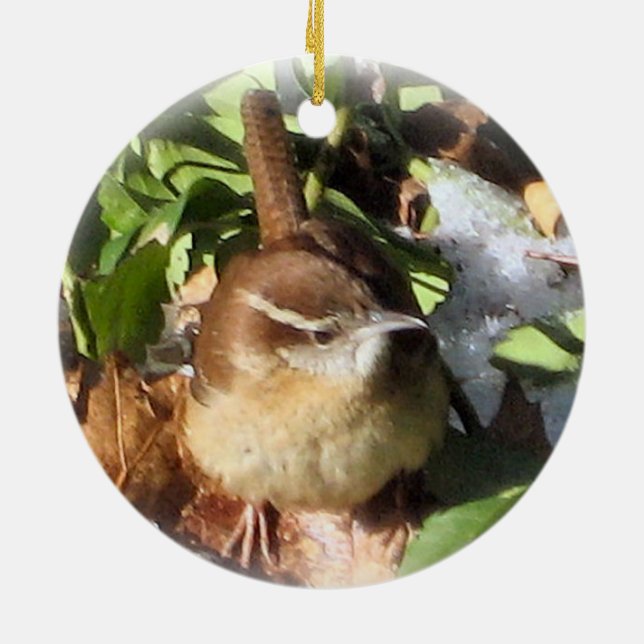 Winter Wren Ceramic Tree Decoration (Back)