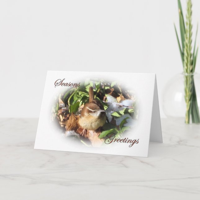 Winter Wren Holiday Card (Front)