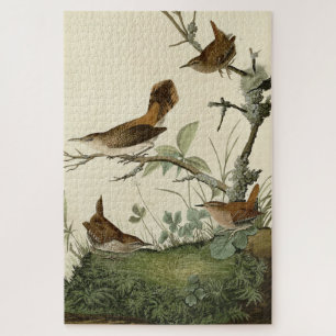 Winter Wren, Rock Wren, Audubon's Birds of America Jigsaw Puzzle
