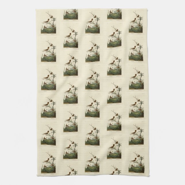 Winter Wren, Rock Wren, Audubon's Birds of America Tea Towel (Vertical)