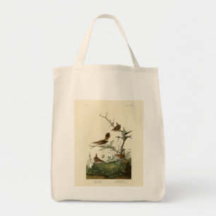 Winter Wren, Rock Wren, Audubon's Birds of America Tote Bag