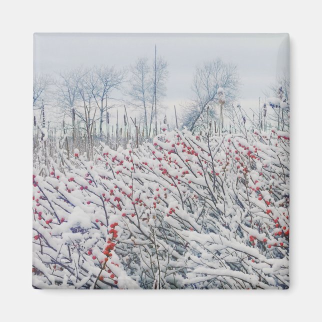 winterberry and cattails magnet (Front)