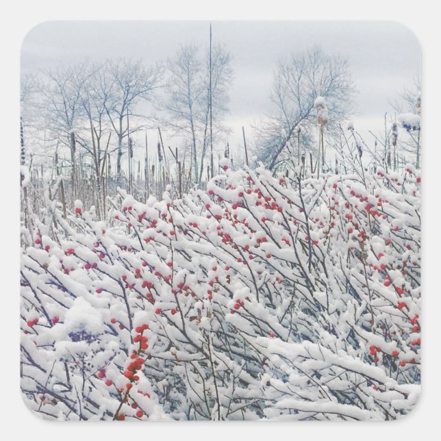 winterberry and cattails square sticker (Front)