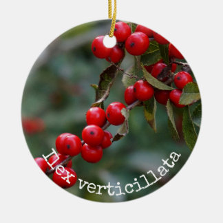 Winterberry Holly Botanical Ceramic Tree Decoration