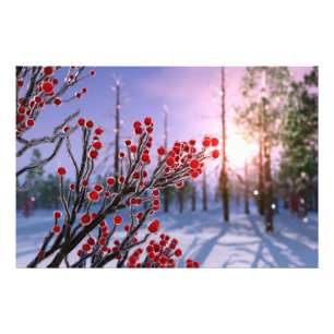 Winterberry in Ice Photo Print