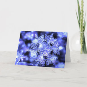 Winterborn Christmas Card