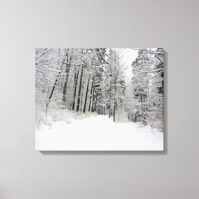 winterland wrapped canvas (Front)