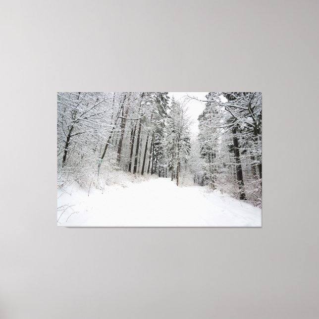 winterland wrapped canvas (Front)