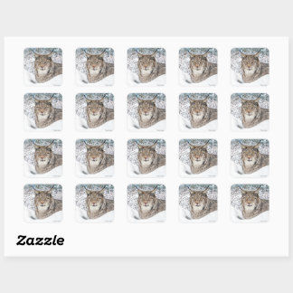 "Winter's Child" Square Sticker