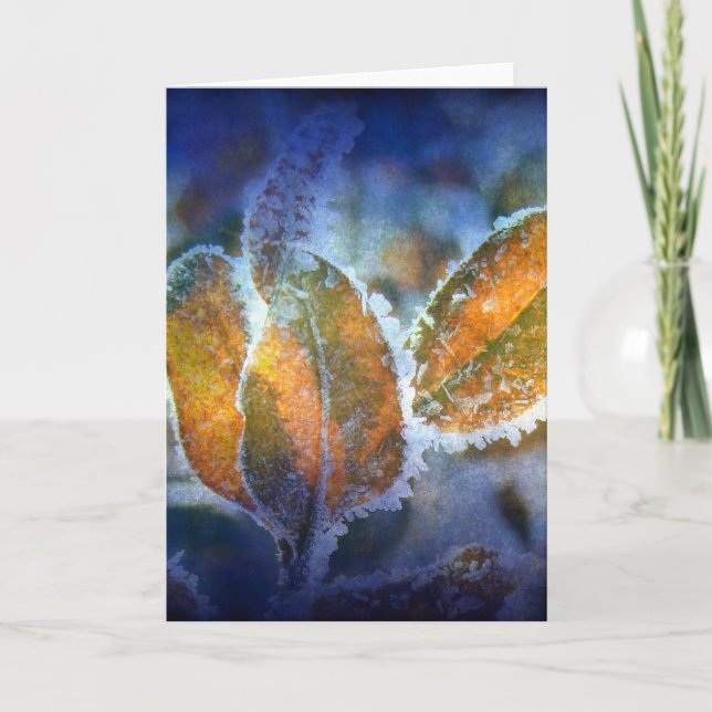 Winter's Chill all occasions Card (Front)