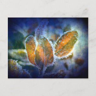 Winter's Chill Postcard