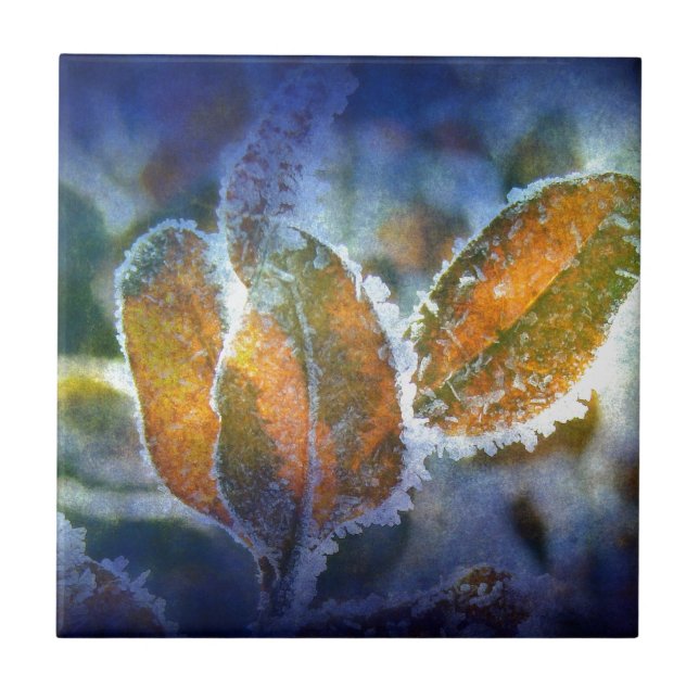 Winter's Chill Tile (Front)