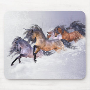 Winter's Flight Mousepad