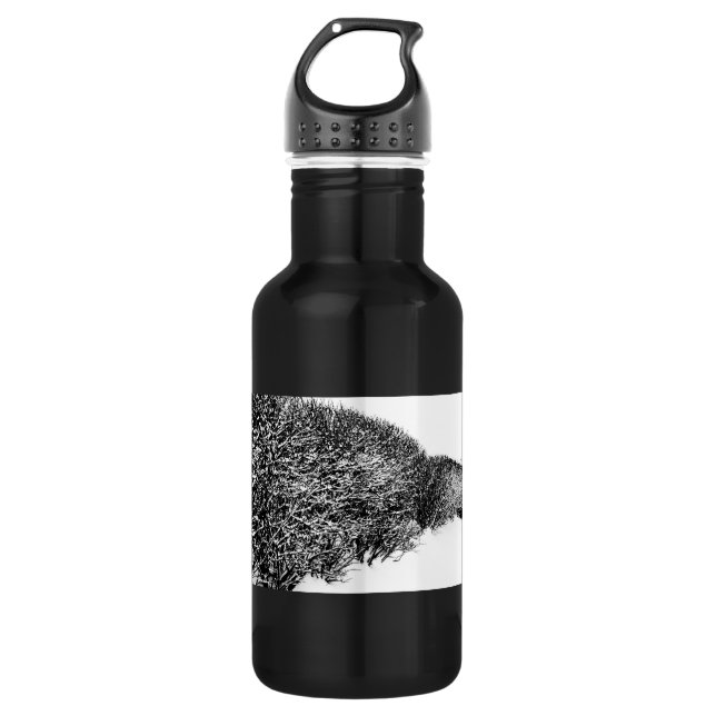 winter's hedge 532 ml water bottle (Front)