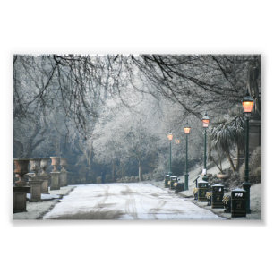 Winters Morning Photo Print