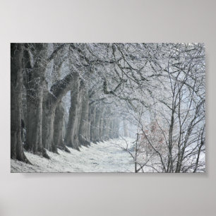 Winters Morning  Poster