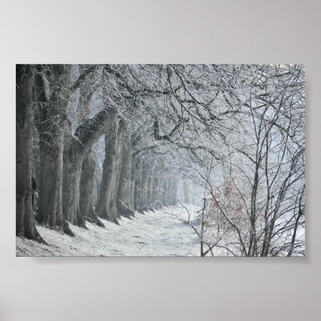 Winters Morning  Poster (Front)