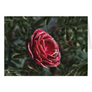 Winter's Parting Gift Card