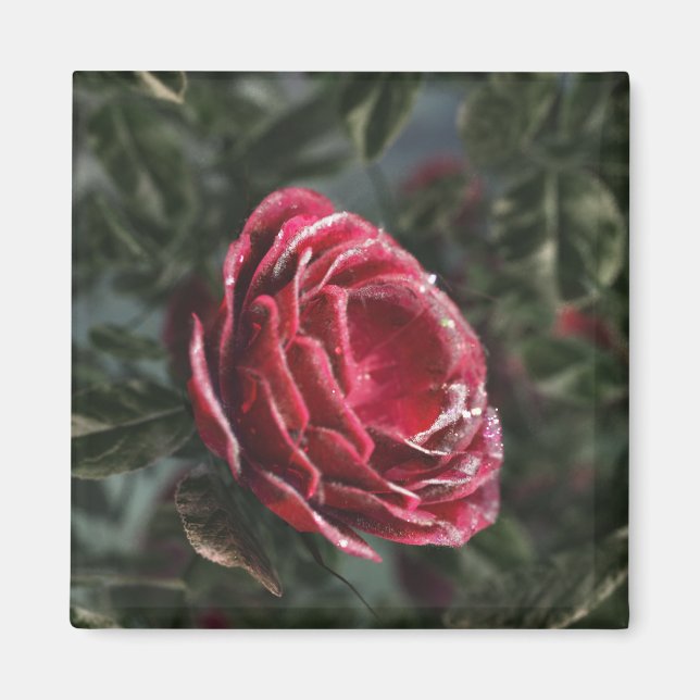 Winter's Parting Gift Magnet (Front)