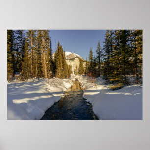 Winter's Touch at Lake Louise Poster