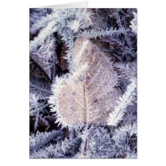 Winterscapes Card